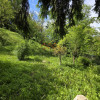 Casa rustica, teren 2000 mp, peisaj de vis, Provita de Jos, Prahova thumb 14