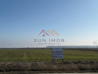 Teren intravilan, 4927 mp, Darmanesti, Dambovita